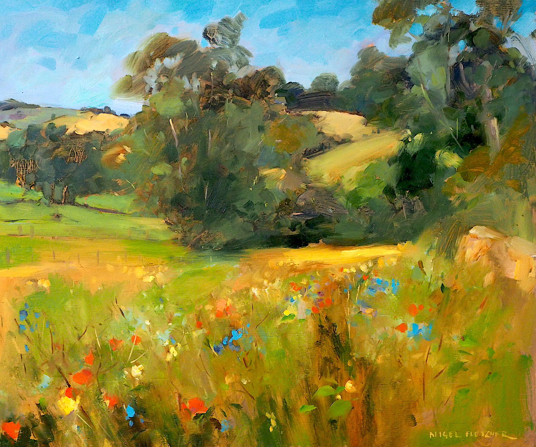 Wild Flowers in the Valley