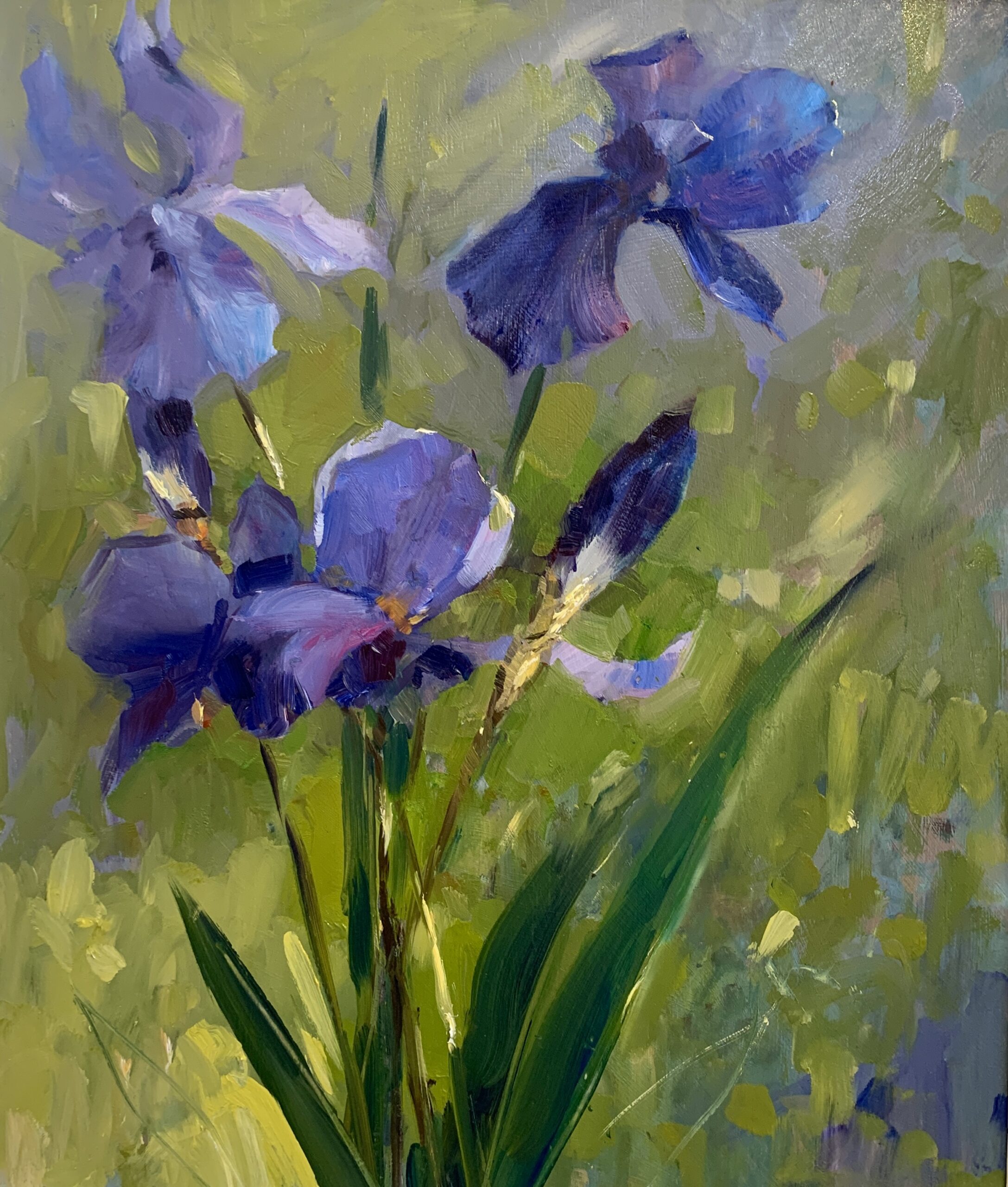 Blue Iris