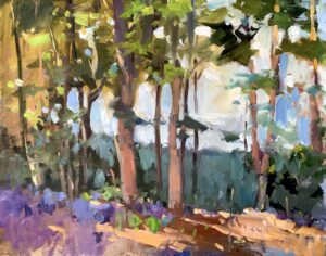 Sunlight and Bluebells