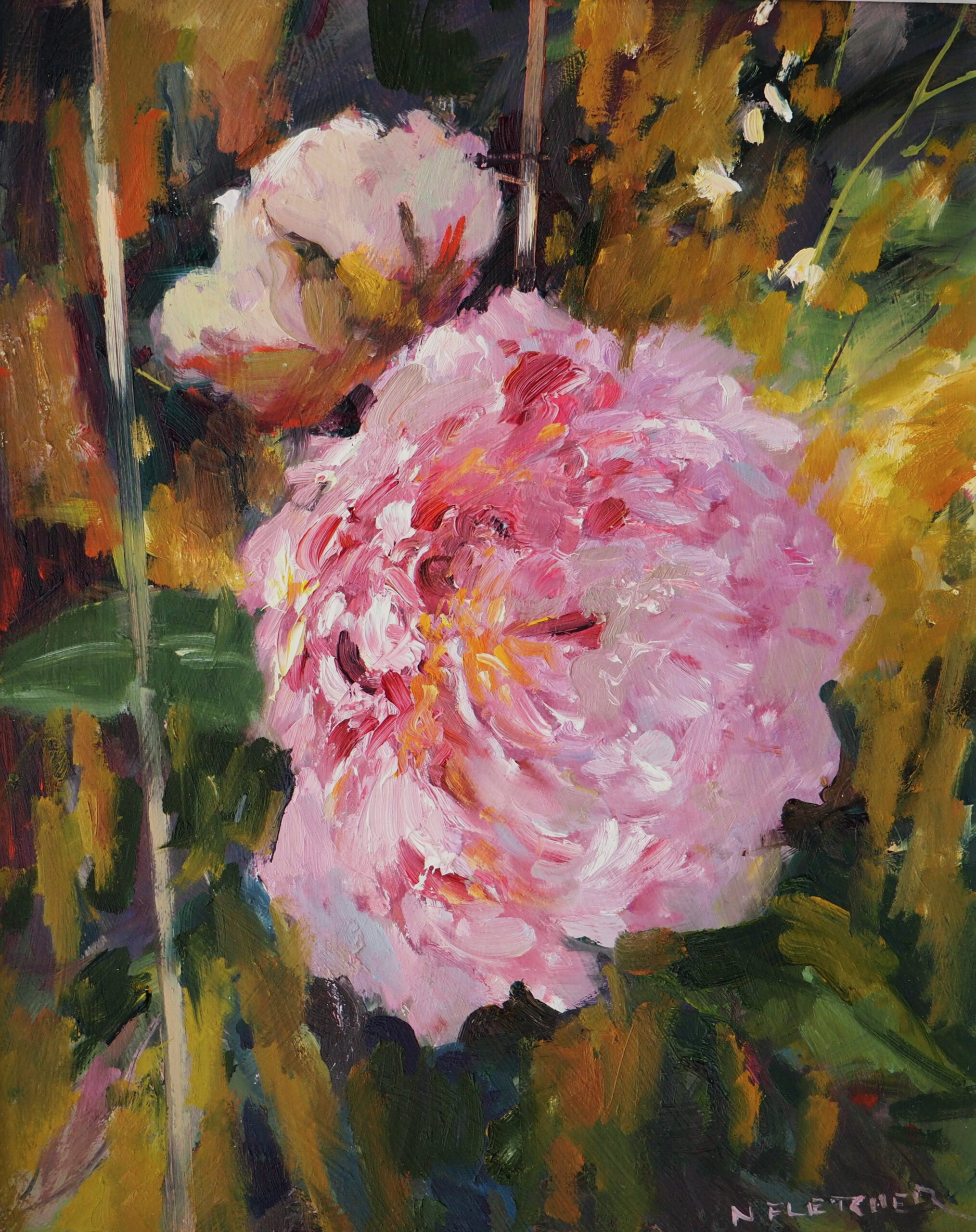 Pink Peonies