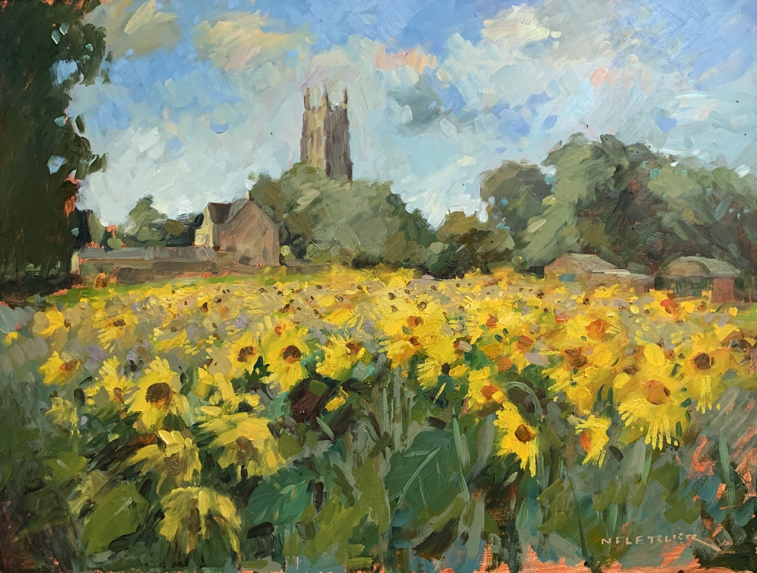 Sunflowers and St George’s, Brailes