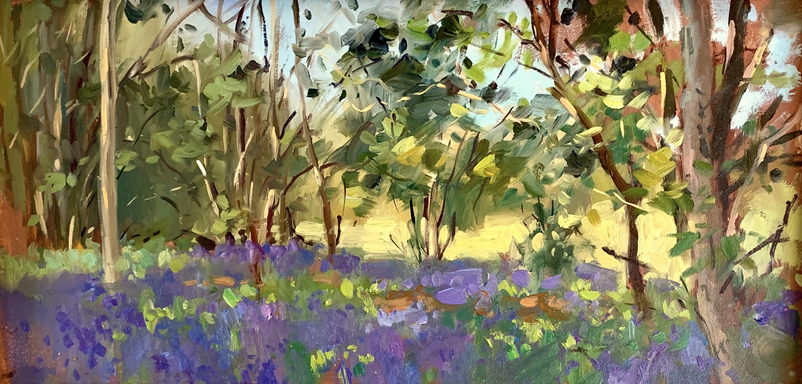 Shaded Bluebells