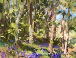 Swalcliffe Bluebells
